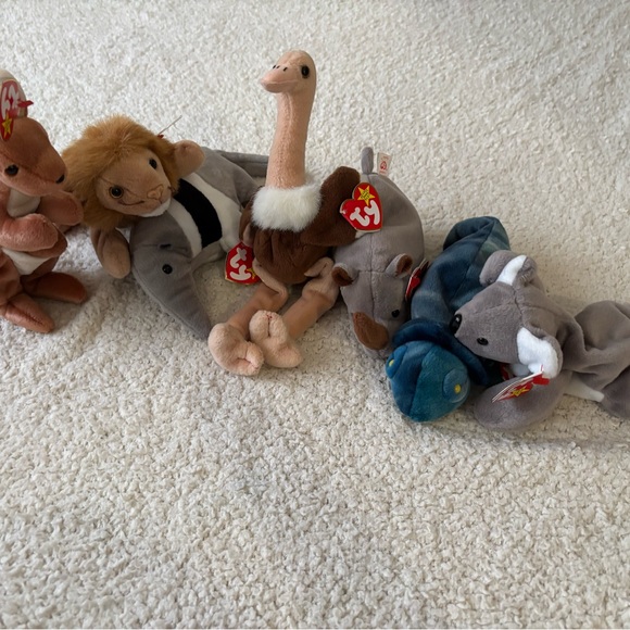 Ty Other - Beanie Babies Amazon collection